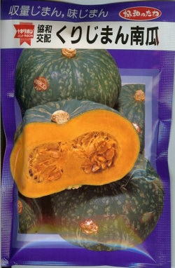 ★カボチャ種 【 くりじまん 】 小袋 （栽培用 種子 かぼちゃ 南瓜 みかど）