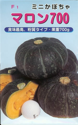 かぼちゃの種(鈴マロン)かぼちゃの種 固定種 無農薬 5kg自然栽培の固定