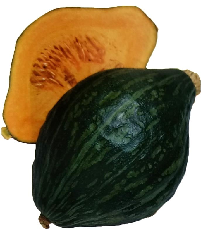 カボチャ種 ロロン 8粒 Br 栽培用 種子 かぼちゃ 南瓜 タキイ 野菜 果物の種 カボチャ 南瓜 種 なら みつのぶオンラインショップ カボチャ種 ロロン 8粒 Br 栽培用 種子 かぼちゃ 南瓜 タキイ 野菜 果物の種 カボチャ 南瓜 種 なら みつのぶオンラインショップ