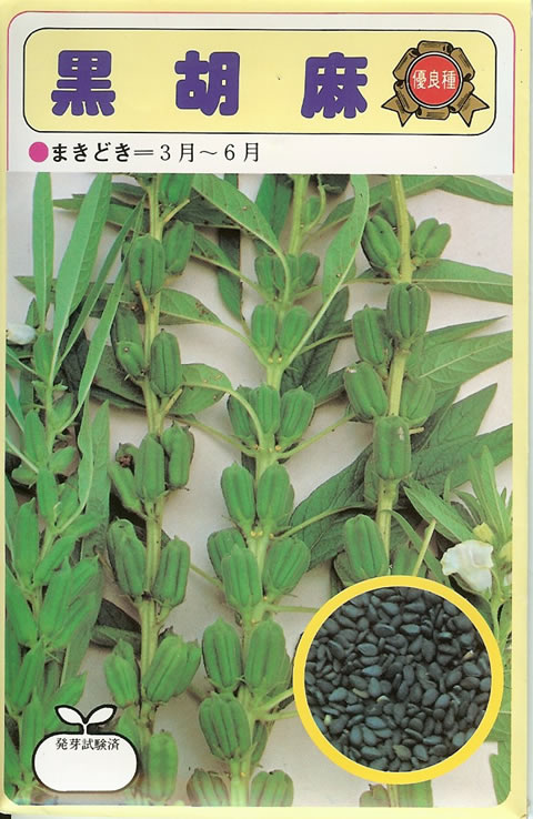 ゴマ種　黒胡麻（10ml）