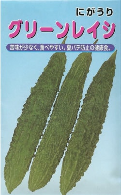 ゴーヤ種 【 グリーンレイシ 】 小袋 （苦瓜 ニガウリ れいし レイシ　宝）