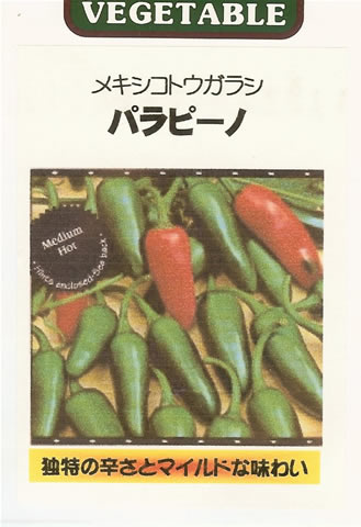 トウガラシ種 【 メキシコトウガラシ パラピーノM 】 小袋 （栽培用 種子 とうがらし 唐辛子 唐芥子 藤田）