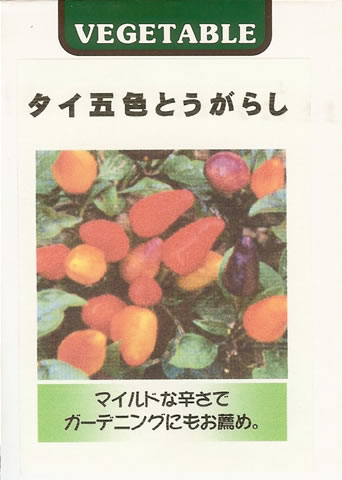 トウガラシ種 【 タイ五色とうがらし 】 小袋 （とうがらし 唐辛子 唐芥子 藤田）