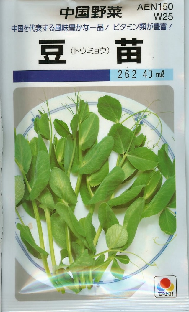 ※ 取扱終了？※ 中国野菜種 【 豆苗（トウミョウ）】 40ml （栽培用 種子 とうみょう タキイ）