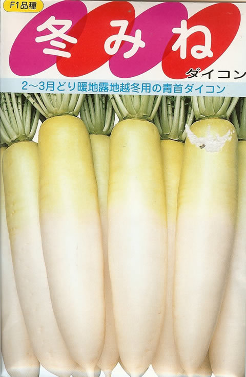 だいこんマン tdqsn1ux.png