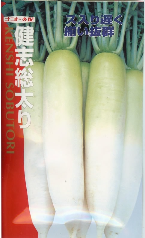 ダイコン種　健志総太り（小袋）
