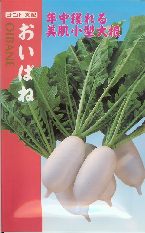 ダイコン種 【 おいばね 】 小袋 （栽培用 種子 だいこん 大根 ミニ大根 ナント）
