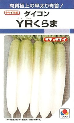 ※新種2026年7月以降入荷予定　ダイコン種 【 YRくらま 】 DF小袋 （栽培用 種子 大根 だいこん 大根 タキイ）