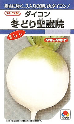 ※重複※ ダイコン種 【 早太り聖護院 】 DF小袋 （栽培用 種子 大根 だいこん 大根 タキイ）