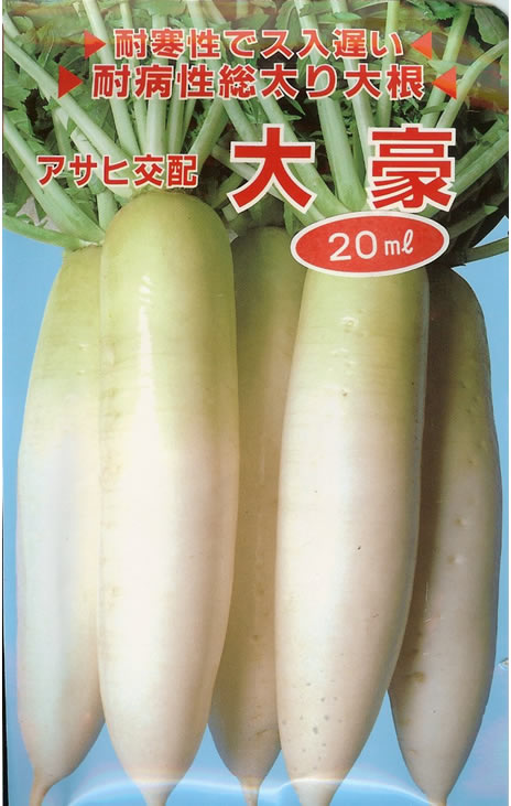 ダイコン種 【 大豪 】 20ml （栽培用 種子 だいこん 大根 アサヒ）