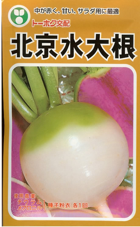 ダイコン種 【 F1北京水大根 】 小袋 （栽培用 種子 だいこん 大根 トーホク）