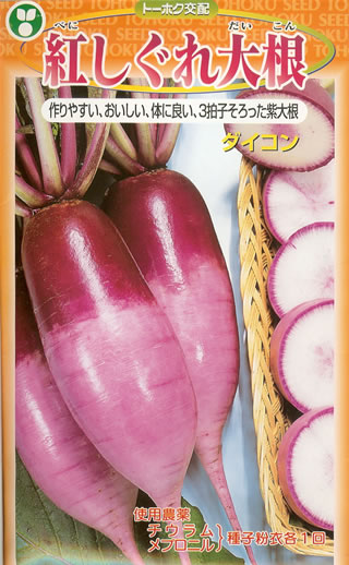※新種8月入荷後発送　ダイコン種　F1紅しぐれ大根（小袋）