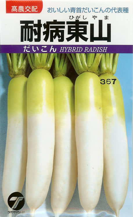 ダイコン種 【 耐病東山 】 小袋 （栽培用 種子 大根 だいこん 大根 タカヤマ）