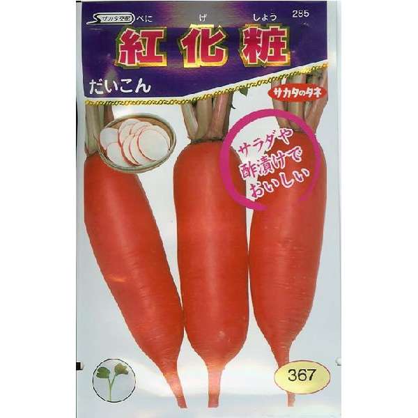 ダイコン種　紅化粧（３ｍｌ）