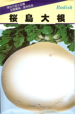 ※取扱終了※ダイコン種　桜島大丸大根（１0ｍｌ）
