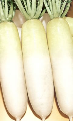 ダイコン種　　F1味なやつ大根　 （2dl）