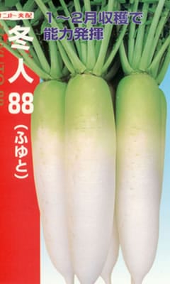 ダイコン種 【 冬人88 】 小袋 （栽培用 種子 だいこん 大根 ナント）