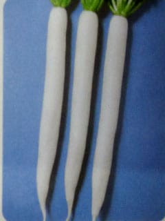 ダイコン種 【 夏蒔みのわせ 】 2dL （栽培用 種子 だいこん 大根 タカヤマ）