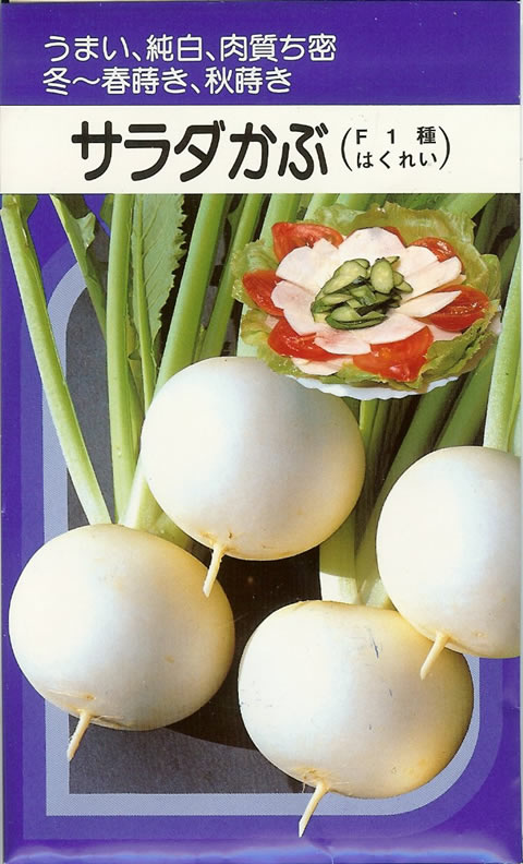 かぶ　種　サラダかぶ （4ml）