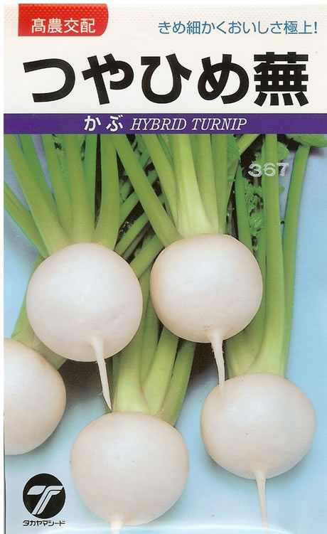 ★カブ種 【 つやひめ 】 小袋 （栽培用 種子 かぶ 蕪 タカヤマ）