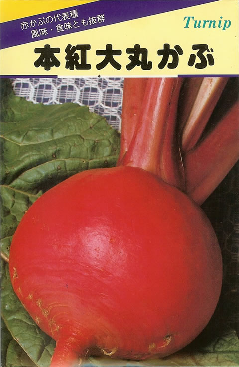 赤かぶ 本紅赤丸蕪 カブ ｜ 品種カタログ ｜ タキイの野菜【タキイ種苗】