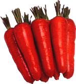 ニンジン種【　楽陽人参　】宝種苗　コート種子450粒