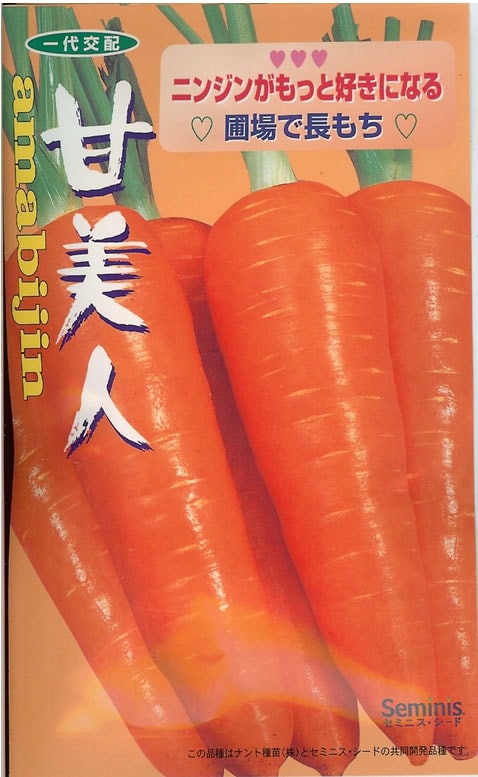 にんじん 種 甘美人（6ml） | 野菜・果物の種,ニンジン ( 人参