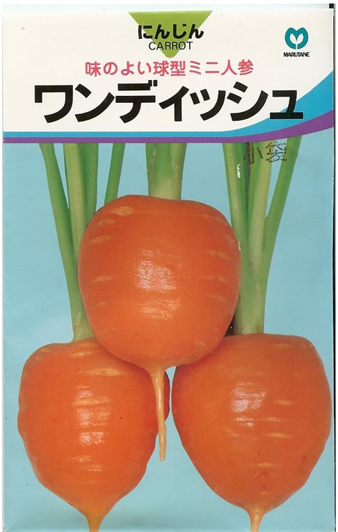 ninnin人参さま専用 ninnin人参さま専用 ninnin人参さま専用 ninnin人参さま専用 ninnin
