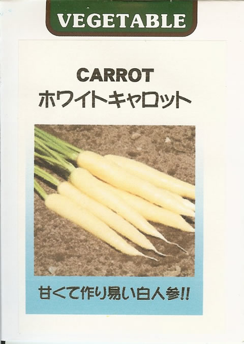 世界の野菜種　ホワイトキャロット（0.1ml）藤田