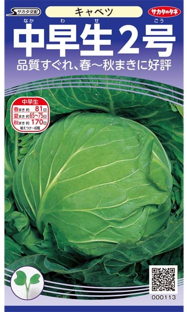 キャベツ種 【 中早生二号 】 美咲小袋 （栽培用 種子 きゃべつ 甘藍 サカタ）