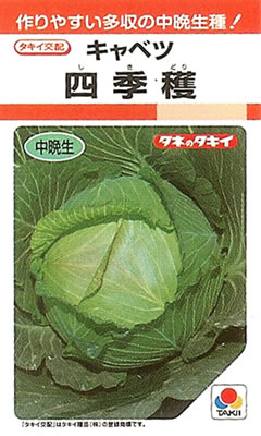 キャベツ種　四季穫　（RF小袋）