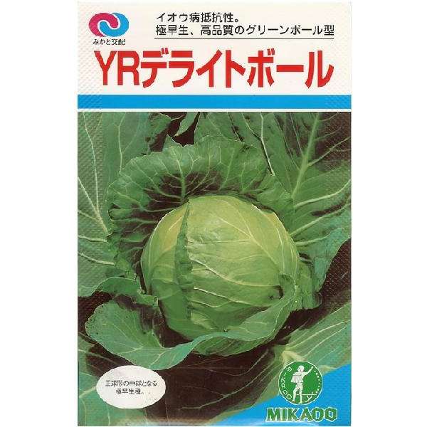 キャベツ種 【 YRデライトボール 】 小袋 （栽培用 種子 キャベツ みかど）