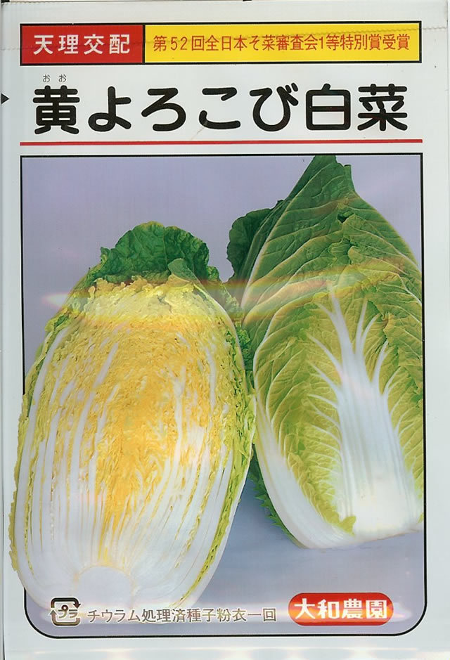 ハクサイ種 【 黄よろこび 】 小袋 （栽培用 白菜 はくさい 大和）