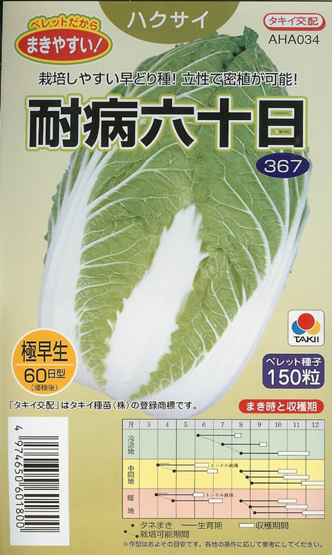 ※新種7月以降入荷予定　白菜　種　耐病六十日　（ペレット種子150粒）