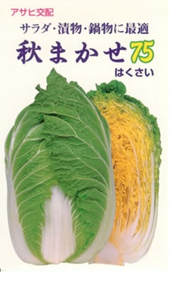 ハクサイ種 【 秋まかせ75 】 小袋 （栽培用 種子 はくさい 白菜 アサヒ）
