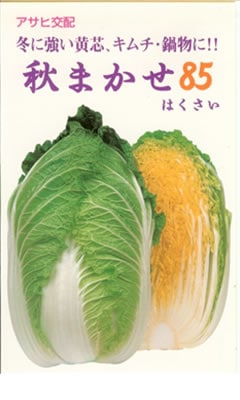ハクサイ種 【 秋まかせ85 】 小袋 （栽培用 種子 はくさい 白菜 アサヒ）