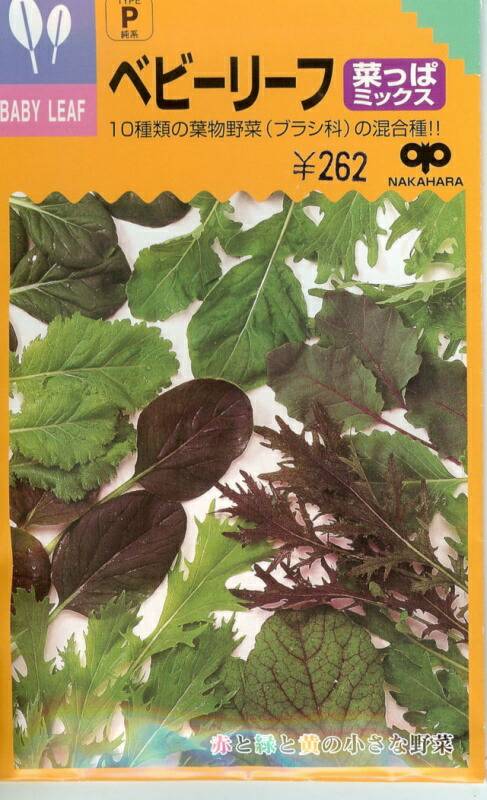 ベビーリーフ種 【 葉っぱミックス 】 20ml （栽培用 種子 中原）