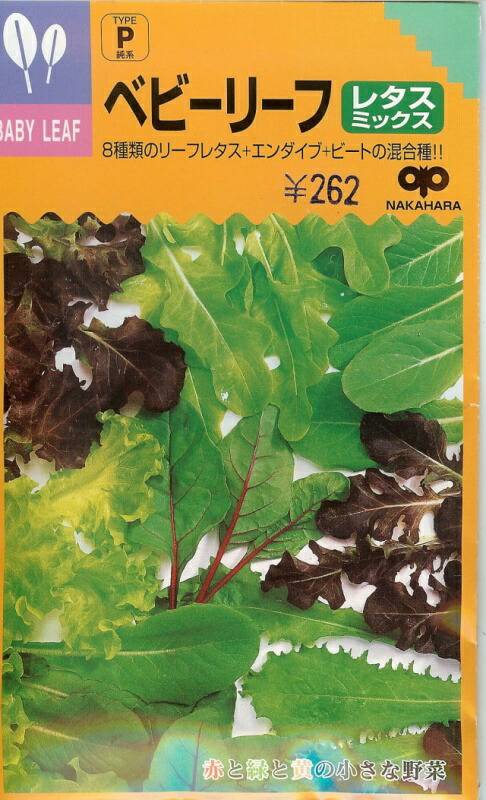 ベビーリーフ種 【 レタスミックス 】 20ml （栽培用 種子 中原）