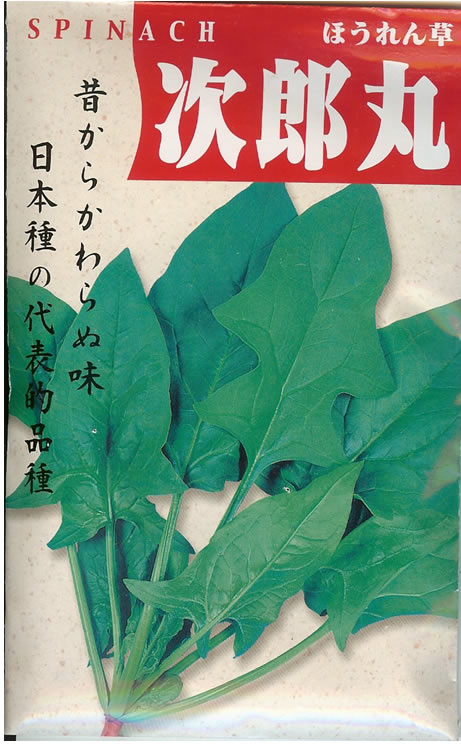ホウレンソウ種 【 次郎丸 】 50ml （栽培用 種子 ほうれんそう ほうれん草 法蓮草 固定種）