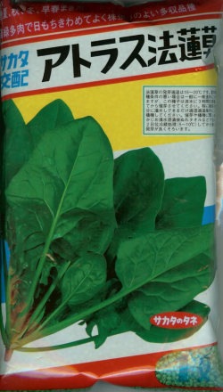 ホウレンソウ種 【 アトラス 】 1L （栽培用 種子 ほうれんそう ほうれん草 ホウレン草 法蓮草 サカタ）