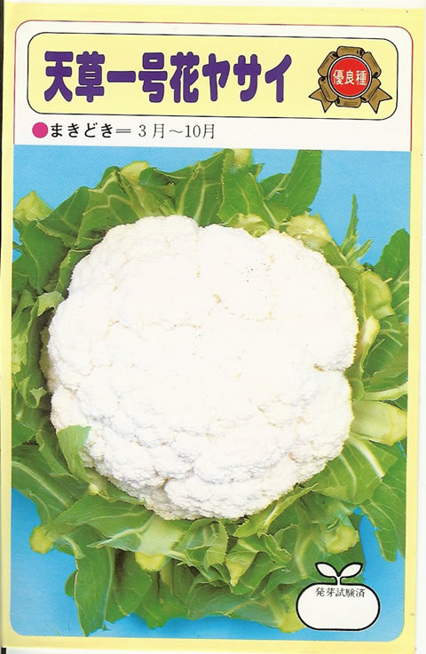 はなやさい天草一号（小袋）