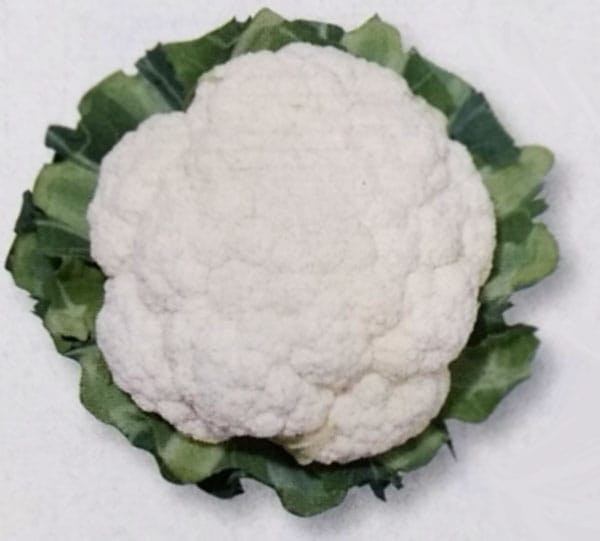 カリフラワー種　スノークラウン　(DF小袋)<br>[栽培用 種子 はなやさい 花椰菜　花キャベツ タキイ]