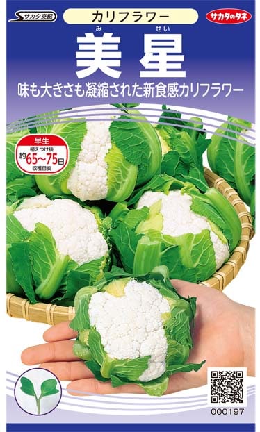 カリフラワー種　美星　（小袋）