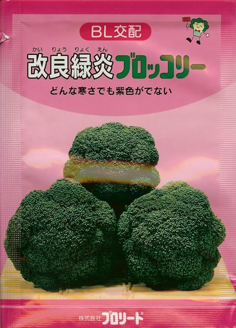 ブロッコリー種 【 改良緑炎ブロッコリー 】 小袋　（芽花椰菜 メハナヤサイ めはなやさい ブロリード）