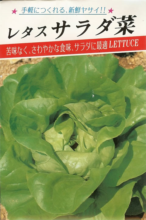 レタス種　レタス　サラダ菜（3ml）