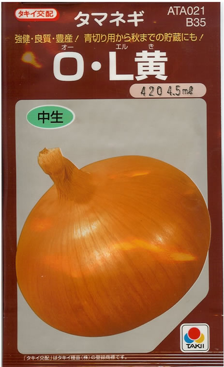 タマネギ種　Ｏ・Ｌ黄　(4ml)