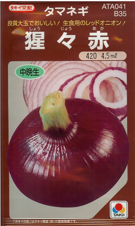 タマネギ種　　猩々赤　(小袋)