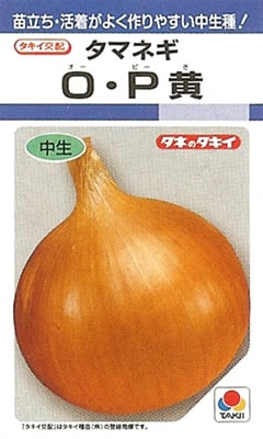 ※8月新種入荷後発送　タマネギ種 【 O・P黄 】 2dL （栽培用 種子 たまねぎ 玉ねぎ 玉ネギ 玉葱 タキイ）