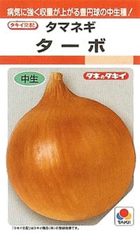 ※8月新種入荷後発送　タマネギ種　 ターボ　(2dl) [タキイ種苗]