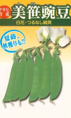 エンドウ種　美笹豌豆　（20ml）